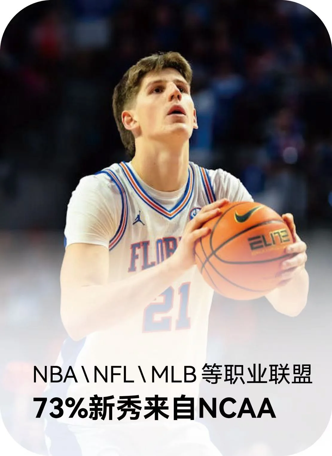 照片3